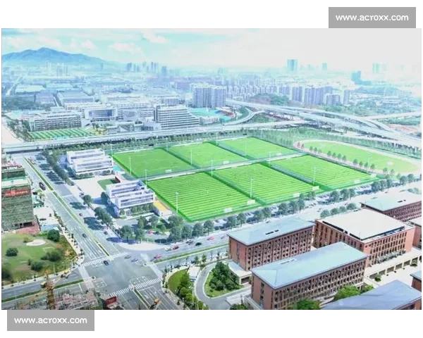 打造城市未来之星的足球青训基地发展蓝图与区域体育产业融合创新探索